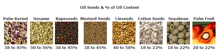 Oil Seeds & % of Oil Content.jpg