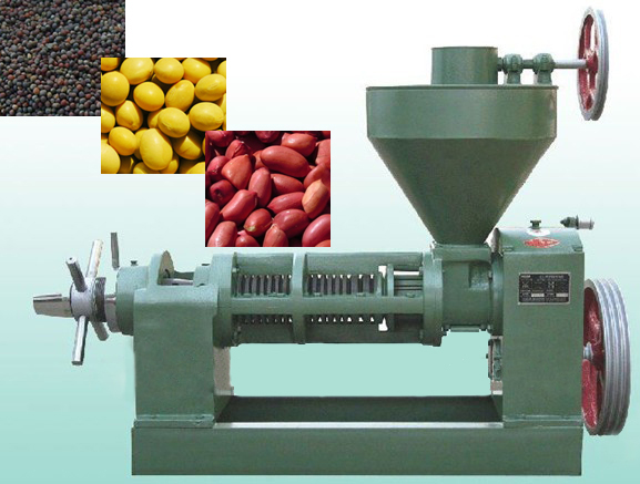 cooking oil press machine.jpg