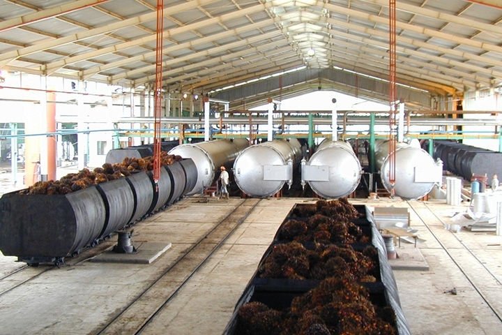 palm oil extraction machine process.jpg