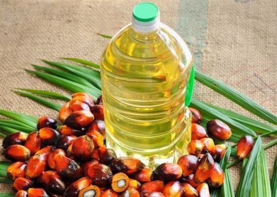 palm oil.jpg