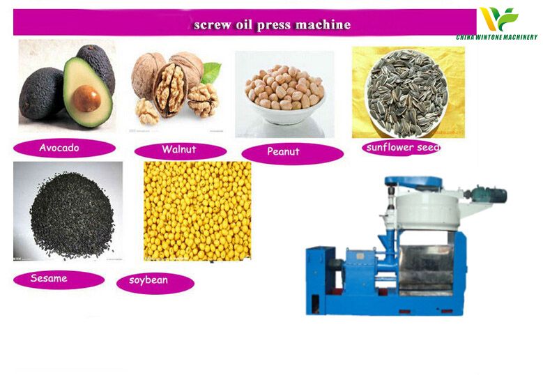 screw oil press