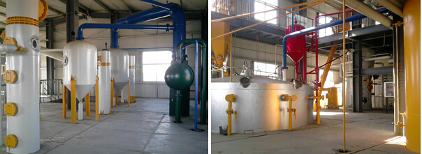 Oil Press Machine