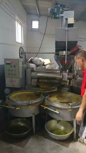small scale oil pressing equipment3.jpg