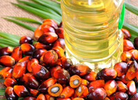 palm oil