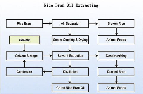 Rice bran oil extracting.jpg