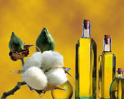 cottonseed oil refining