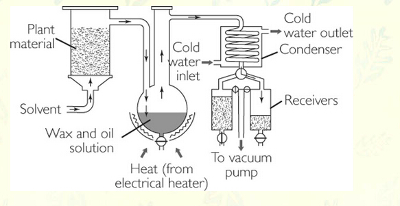 oil extraction process.jpg