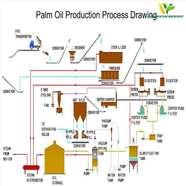 棕榈生产工艺图.jpg