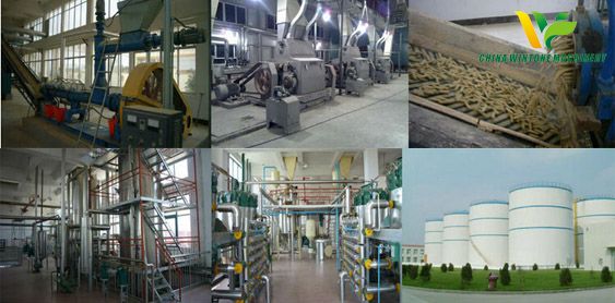 edible oil production line