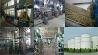 10-20T/D Edible Oil Production Plant