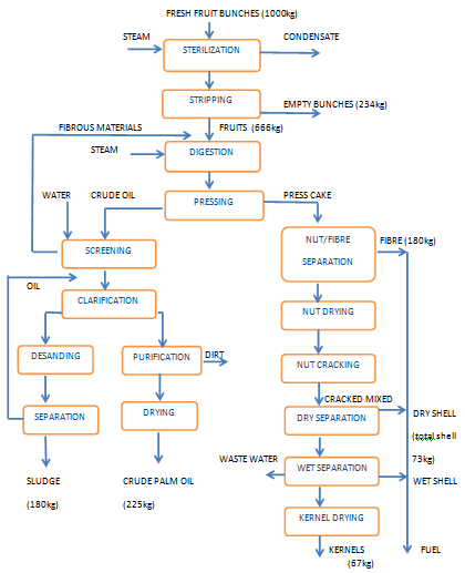 palm oil processing process