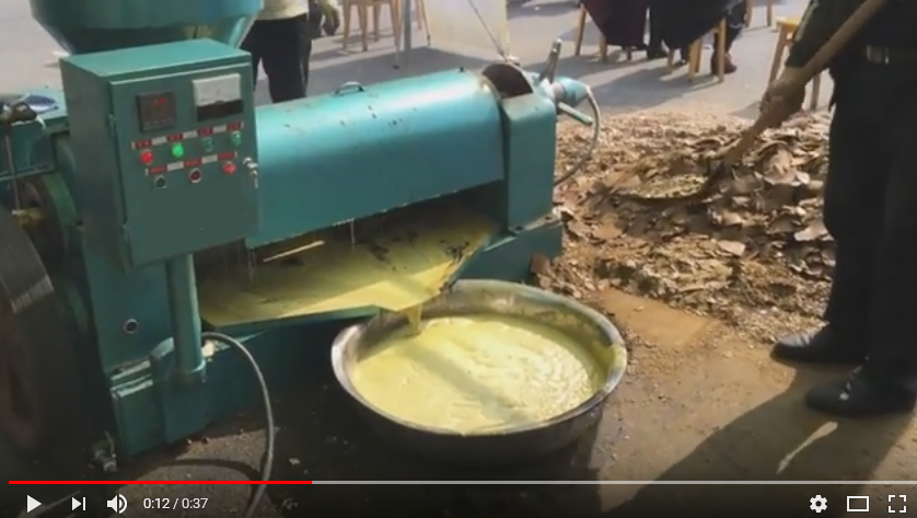 Oil Pressing Machine