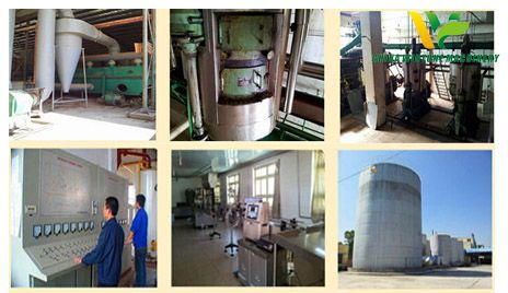 rapeseed oil refining plant