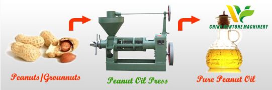 peanut oil refinery