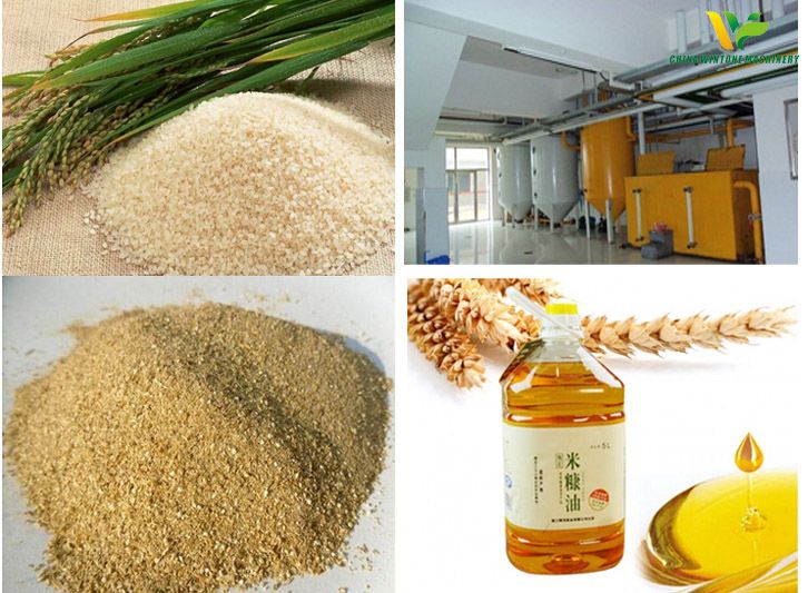 rice bran oil refinery