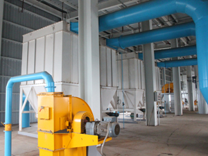 oil seed processing 3.jpg